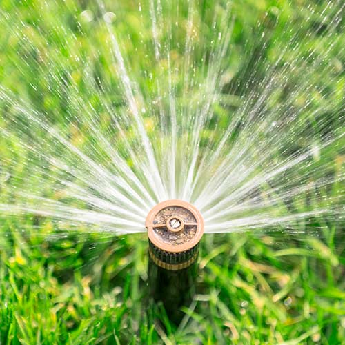 Residential and Commercial Grade Sprinkler System